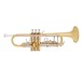 Bach TR501 Bb Trumpet, Lacquer main