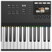 Native Instruments Komplete Kontrol S88 MK2 - Interface Close Up 1