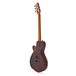 Godin xtSA, Lightburst Flame back