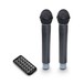 LD Systems Roadbuddy 10 Portable PA Speaker Microphones and Remote