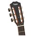 Taylor 812ce 12-Fret NAMM LTD Electro Acoustic, Rosewood & Redwood