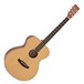 Tanglewood TWIFN Inscription Folk Acoustic