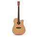 Tanglewood TWIDCEN Inscription Dreadnought Cutaway Electro Acoustic