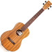 Cordoba 23B Baritone Ukulele