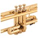 Tromba Plastic Trumpet, Metallic Gold keys