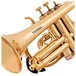 Tromba Plastic Cornet, Gold close