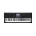 Casio CT-X800 Portable Keyboard 