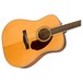 Fender PM-1E Standard Dreadnought, Natural Right