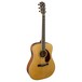 Fender PM-1E Standard Dreadnought, Natural Angled