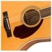 Fender PM-1E Standard Dreadnought, Natural Soundhole