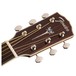 Fender PM-1E, Natural Headstock
