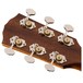 Fender PM-1E, Natural Headstock Back