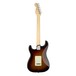 Fender American Elite Stratocaster, Ebony, 3-Tone Sunburst- Back View