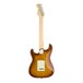 Fender American Elite Stratocaster, Ebony, Tobacco Sunburst