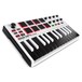 Akai MPK Mini MK 2 Laptop Production Keyboard, White - Angled