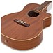 Tanglewood X47 E (2017) Sundance Performance Pro Electro Acoustic close