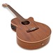 Tanglewood X47 E (2017) Sundance Performance Pro Electro Acoustic angle