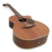 Faith Legacy Mahogany Earth Electro Acoustic