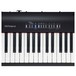 Roland FP 30 Digital Piano, Black