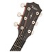 Taylor 314ce Electro Acoustic, V Class Bracing head