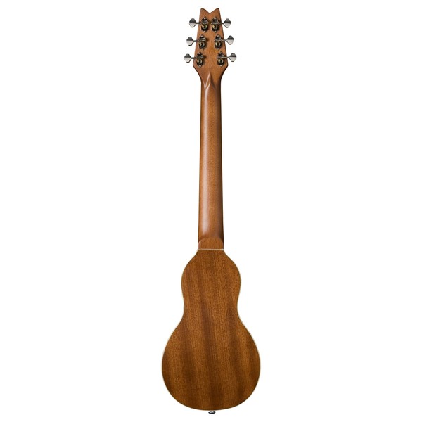 Washburn RO10 Acoustic