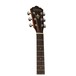 WLO10SCE Electro Acoustic, Natural