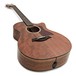 Taylor 524ce NAMM LTD Electro Acoustic, Walnut Natural angle