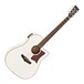 Tanglewood TW5 Winterleaf Cutaway Electro Acoustic, White main