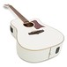 Tanglewood TW5 Winterleaf Cutaway Electro Acoustic, White angle