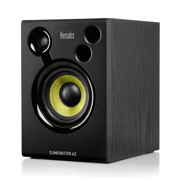 DJMonitor 42 - Left