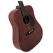 Sigma DM-15+ Acoustic Guitar, Solid Mahogany Body View