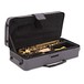 Odyssey OAS700 Premiere Alto Saxophone