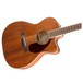 Fender PM-3 Triple-0 Mahogany Acoustic, Natural - Neck View