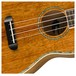 Fender Montecito Tenor Ukulele, Natural Closeup