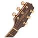 Takamine GN71CE-BSB NEX Electro Acoustic Guitar, Sunburst head