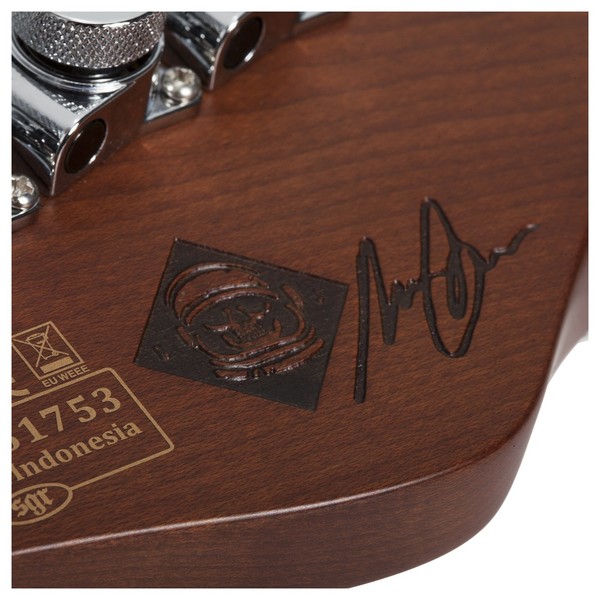 Schecter Nick Johnston Signature