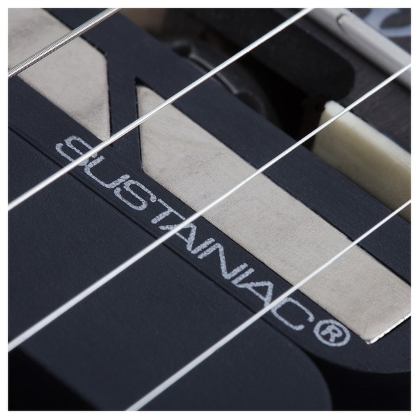 Schecter C-1 FR S SLS Evil Twin, Satin Black Sustainiac