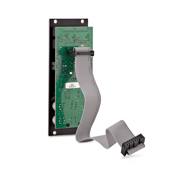 Make Noise TEMPI Time-Shifting Clock Module cable