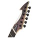 DISC Ormsby Hype GTR Multi-Scale 6, Macassar Ebony Exotic head