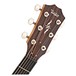 Taylor 414ce-R Electro Acoustic, V Class Bracing head