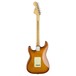 Fender American Performer Stratocaster RW, Honey Burst - back