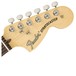Fender American Performer Stratocaster RW, Honey Burst - headstock