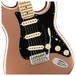 Fender American Performer Stratocaster MN, Penny - body