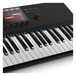 Native Instruments Komplete Kontrol S49 MK2 with Komplete 12 Ultimate kontrol 3