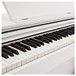 DP-10X Digital Piano by Gear4music, White