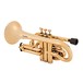 Tromba Plastic Cornet, Gold back