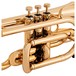 Tromba Plastic Cornet, Gold keys