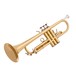 Coppergate Professional Trumpet by Gear4music back