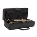 Deluxe Trumpet by Gear4music, Gold case open