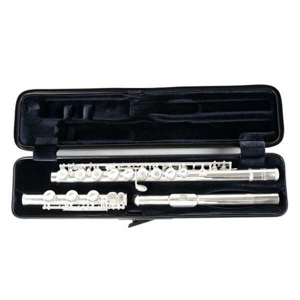 BAM 4009XL Hightech Flute Case, Silver Carbon, Inside